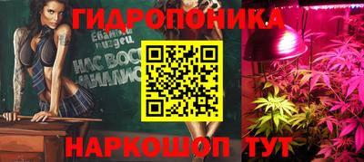 гашик Новокубанск