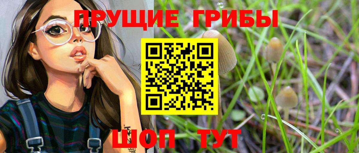 Ростов-на-Дону  Псилоцибиновые грибы мицелий  Галлюциногенные грибы мухоморы  Вход с VPN 